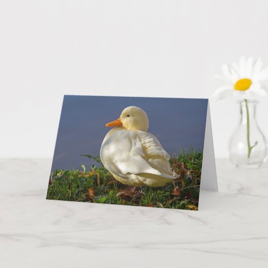 Carte Petit canard blanc (Petite plante)
