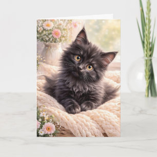 Carte Petit Chat Noir Douillet sur Couverture Tricotée a