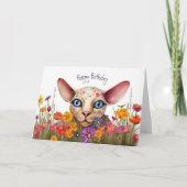 Carte Petit chat Sphynx dans la prairie à fleurs - Anniv (Devant)