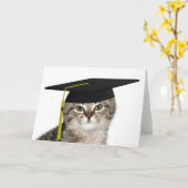 Carte Petit chaton diplômé (Fleur jaune)