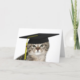Carte Petit chaton diplômé