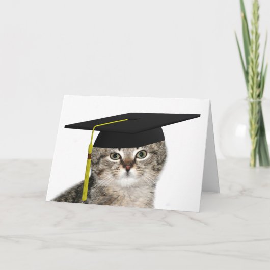 Carte Petit chaton diplômé (Devant)