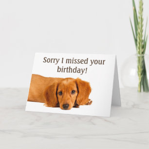 Carte Petit Chien Aîné Anniversaire
