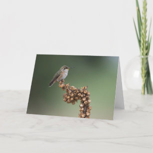 Carte Petit colibri orange