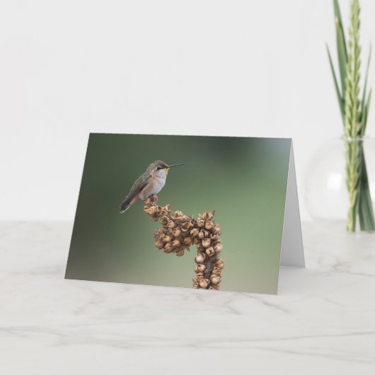 Carte Petit colibri orange (Devant)