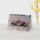 Carte Petit crabe à la boue (Fleur jaune)