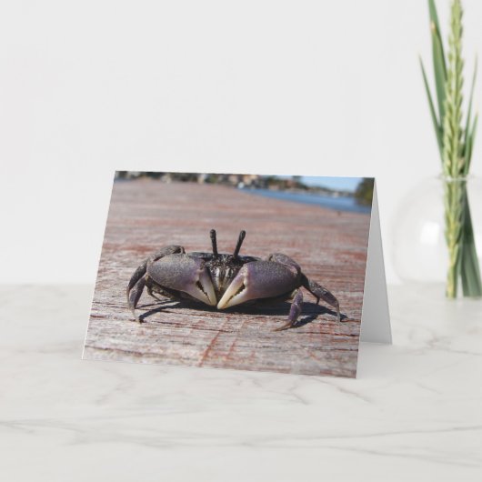 Carte Petit crabe à la boue (Devant)