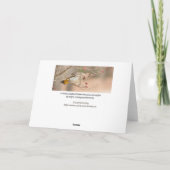 Carte Petit déjeuner de Dogwood Berry (Dos)