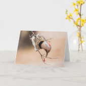 Carte Petit déjeuner de Dogwood Berry (Fleur jaune)