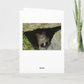 Carte Petit-duc (Dos)