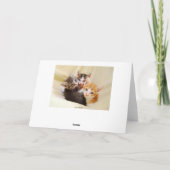 Carte Petit-fils Joyeux Trio d'anniversaire de Kittens (Dos)