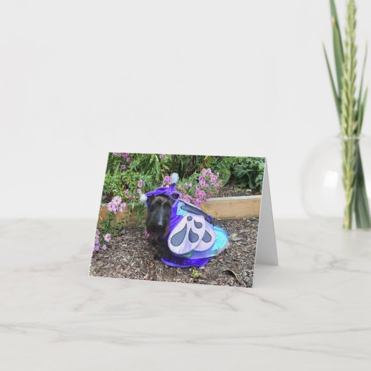 Carte Petit Flutterby (Devant)