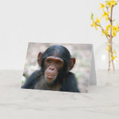 Carte Petit Garçon (Fleur jaune)