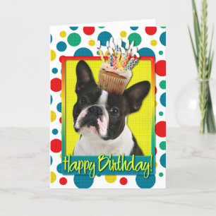 Carte Petit gâteau d'anniversaire - Boston Terrier