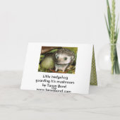 Carte Petit hérisson (Dos)