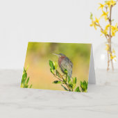 Carte Petit héron vert (Fleur jaune)