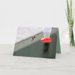 Carte Petit homme avide