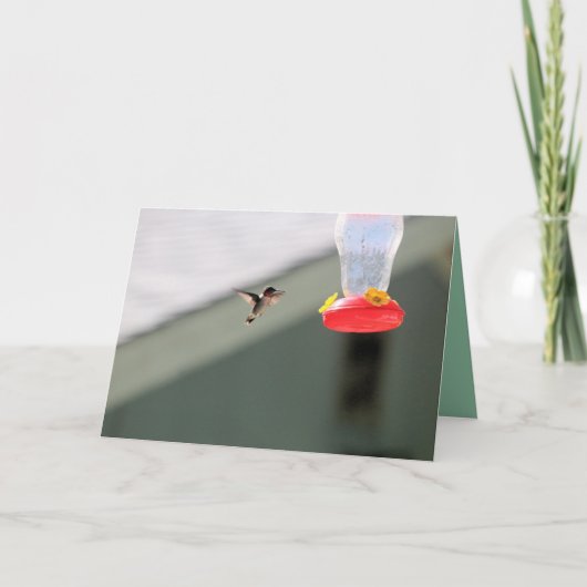 Carte Petit homme avide (Devant)