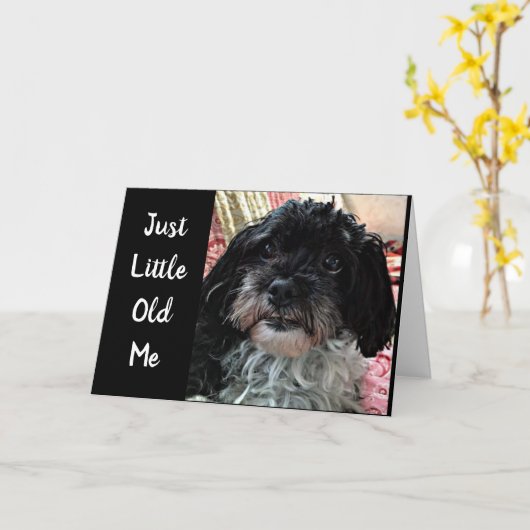 CARTE PETIT JE ME DEMANDE **COMMENT ÊTES-VOUS ?*** (Fleur jaune)