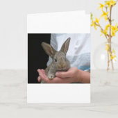 Carte petit lapin doux (Fleur jaune)