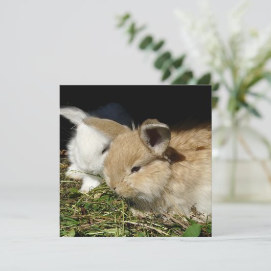 Carte Petit lapin moelleux (Debout devant)