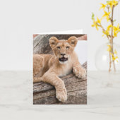 Carte Petit lion (Fleur jaune)