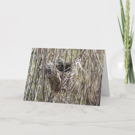 Carte Petit nid (Devant)