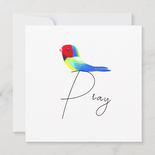 Carte Petit oiseau de prière (Devant)