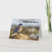 Carte Petit Oiseau M'A Dit, Faites Attention À Ce Que Vo (Devant)