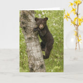Carte Petit Ours noir dans l'arbre (Fleur jaune)
