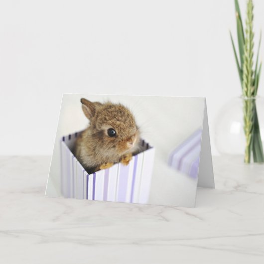 Carte Petit pain dans la boîte ! (Devant)