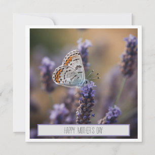 Carte Petit papillon mignon sur lavande personnalisable