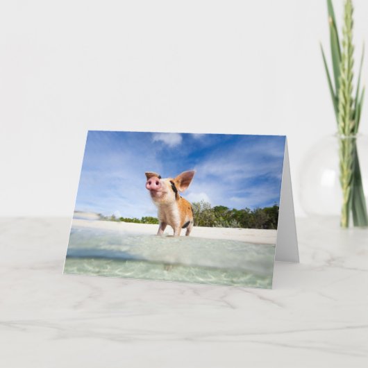 Carte Petit porcelet (Devant)