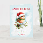 Carte Petit Robin À Santa Hat Grandson Enfants Noël (Devant)