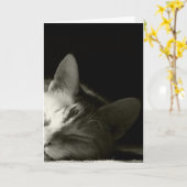 Carte "Petit somme de chat " (Fleur jaune)