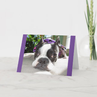 Carte Petit somme Smallish… ou DEUX ! Lola B. Boston