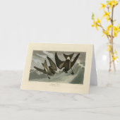 Carte Petit tonneau à queue fourche d'Audubon's Birds of (Fleur jaune)