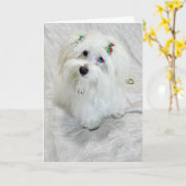 Carte Petit Trésor (Fleur jaune)