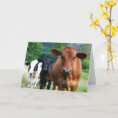 Carte Petit troupeau de trois vaches (Fleur jaune)
