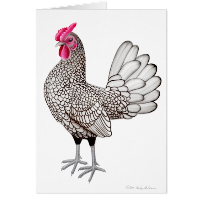 Carte petite argentée de coq de Sebright (Devant)