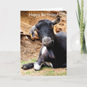 CARTE PETITE CHÈQUE CUITE (Devant)