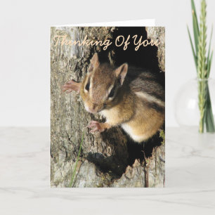Carte Petite Chipmunk pense à toi