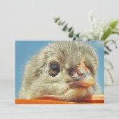 Carte petite chope de poulet heureuse (Debout devant)