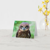 Carte Petite chouette (Fleur jaune)