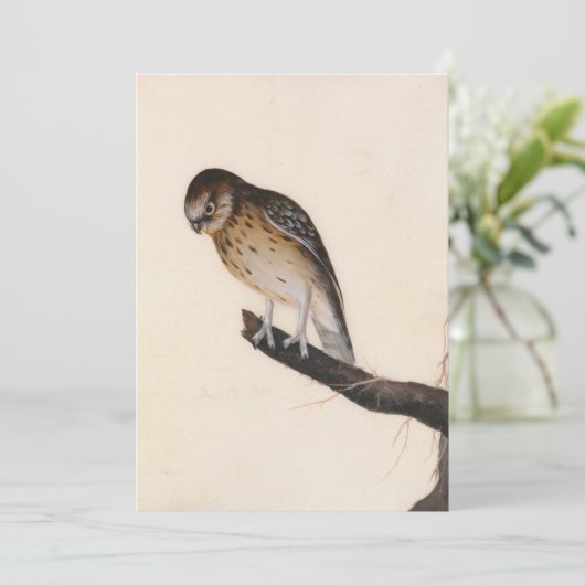 Carte Petite chouette | William Lewin (Debout devant)