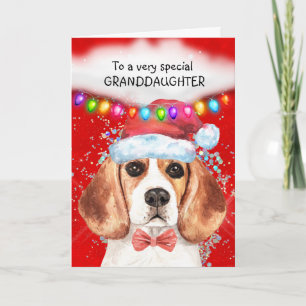 Carte Petite-fille beagle voeux de Noël mignon