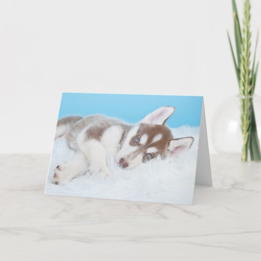 Carte Petite marionnette Husky posée sur une couverture (Devant)