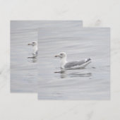 Carte Petite mouette (Devant / Derrière)
