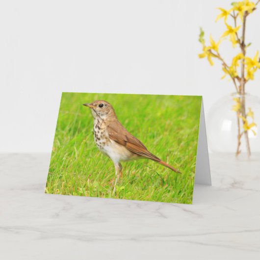 Carte Petite Nature D'Oiseau Qui Pense À Vous (Fleur jaune)