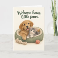 Petite Patte Accueil à la Maison Adoption d'Animau